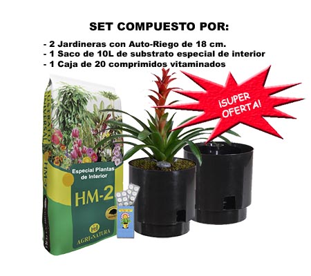 Set de Jardineras Auto-Riego